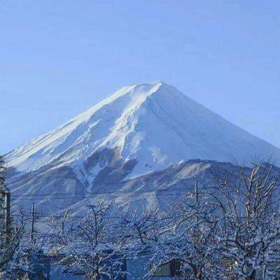 腾讯游戏轩辕情缘官方下载